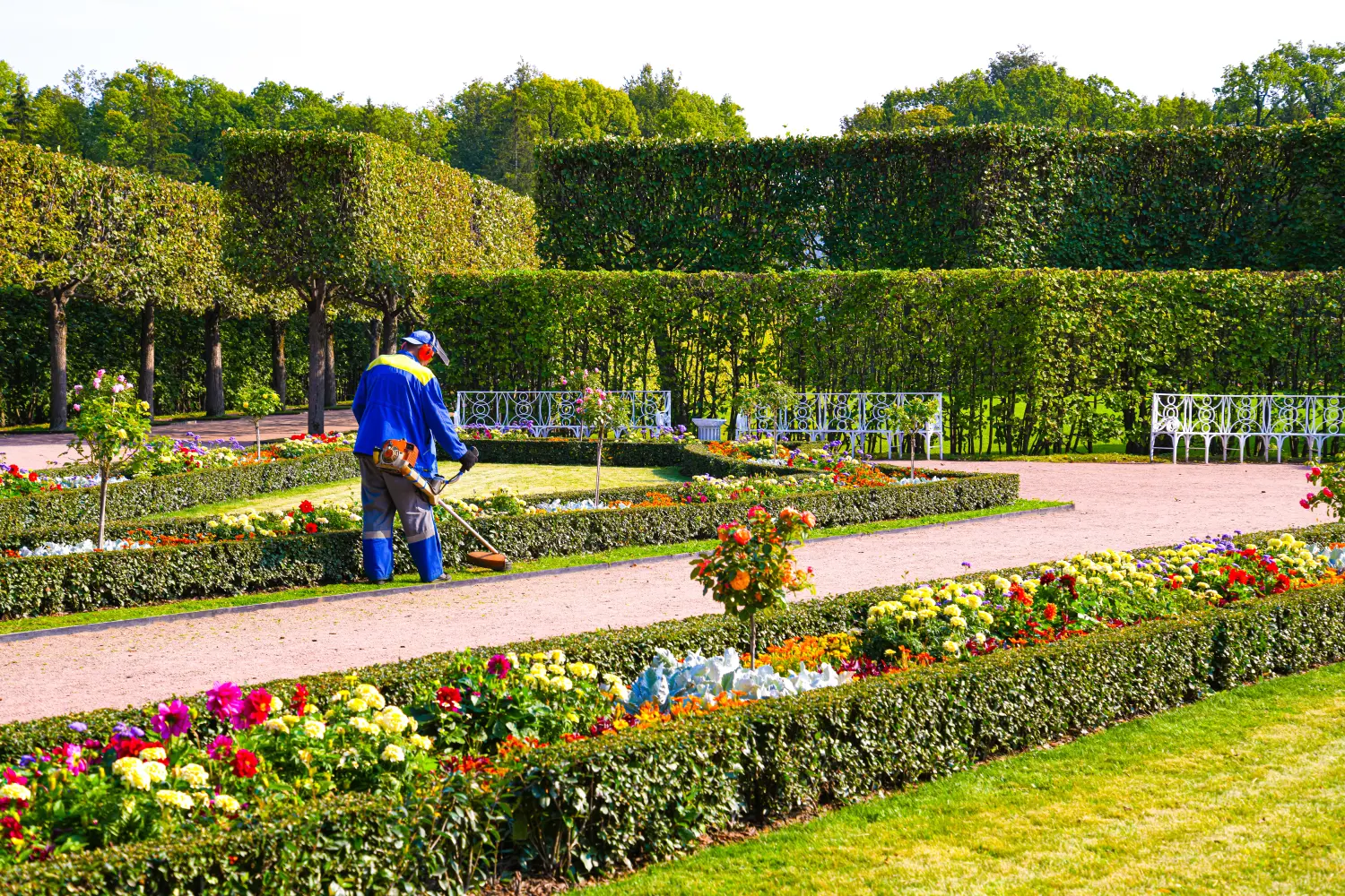 Gärtner mit Rasenmäher pflegt den Rasen im Park